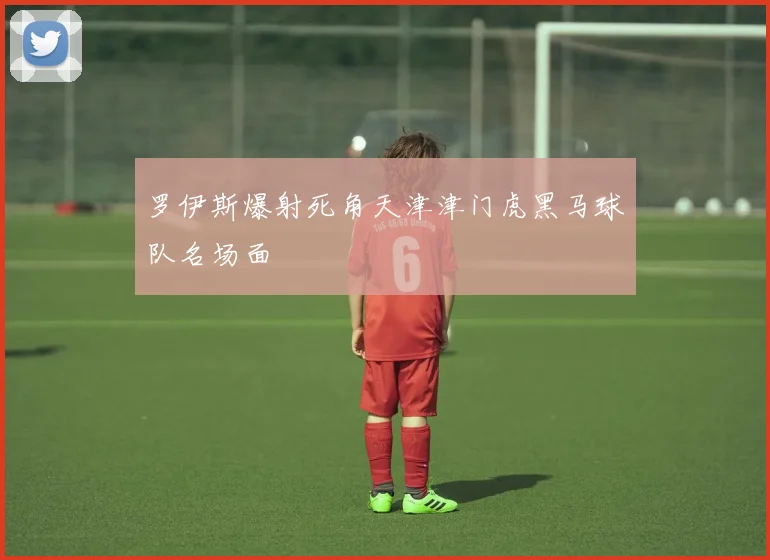 罗伊斯爆射死角天津津门虎黑马球队名场面