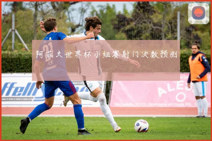 阿菲夫世界杯小组赛射门次数预测