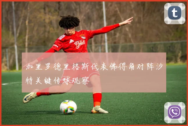 加里罗德里格斯代表佛得角对阵沙特关键传球观察