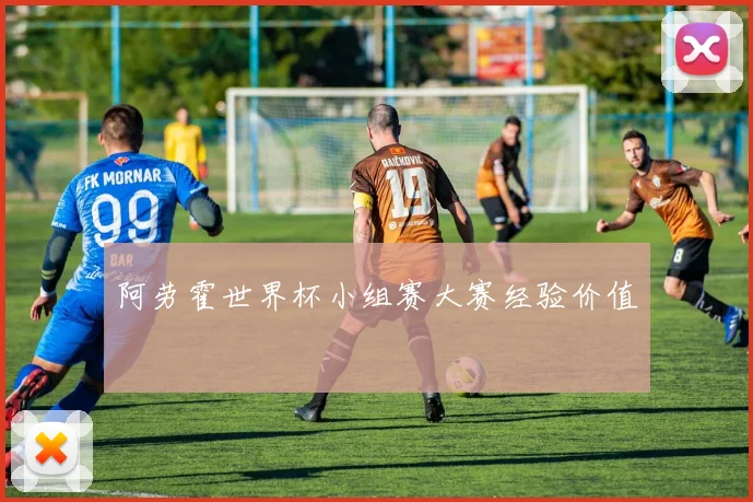 阿劳霍世界杯小组赛大赛经验价值