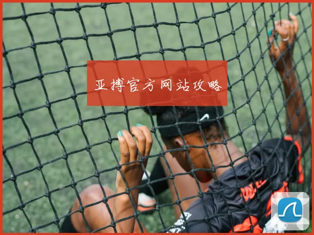 亚搏官方网站攻略