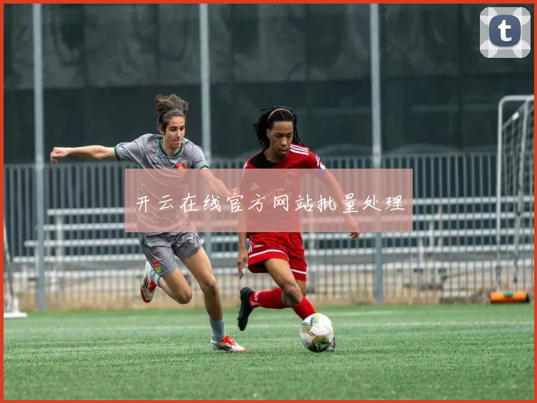 开云在线官方网站批量处理