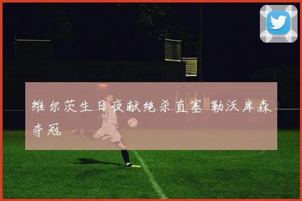 维尔茨生日夜献绝杀直塞 勒沃库森夺冠