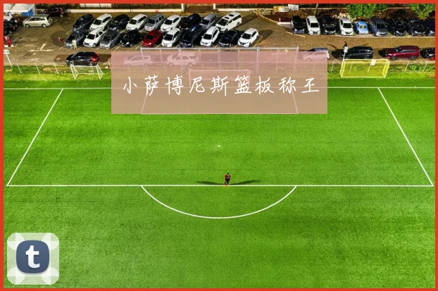 小萨博尼斯篮板称王