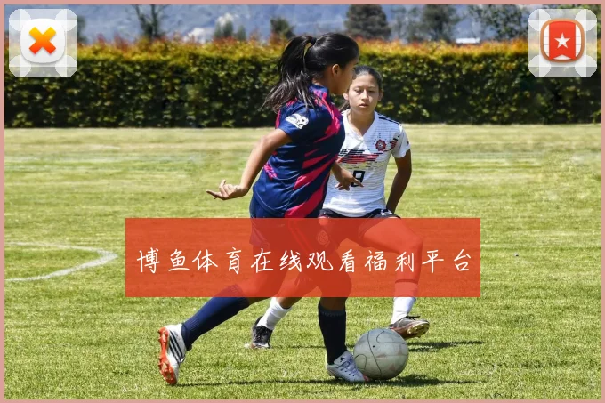 博鱼体育在线观看福利平台