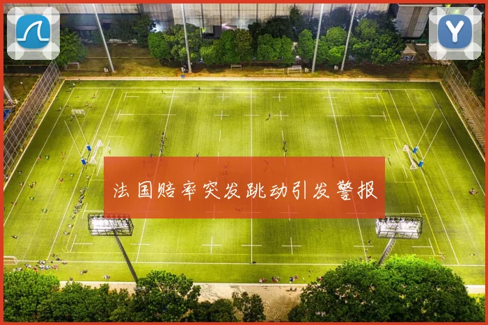 法国赔率突发跳动引发警报