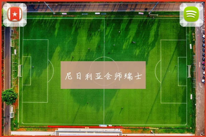 尼日利亚会师瑞士
