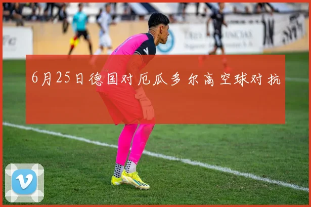 6月25日德国对厄瓜多尔高空球对抗