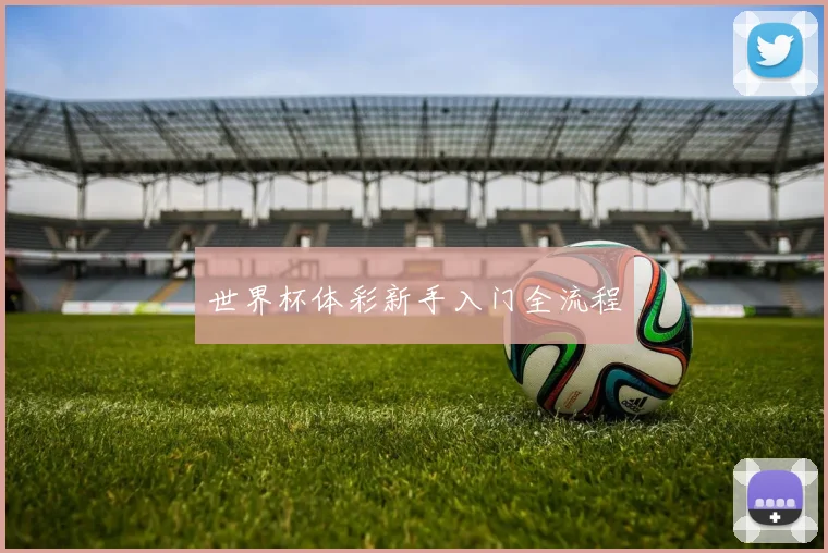 世界杯体彩新手入门全流程