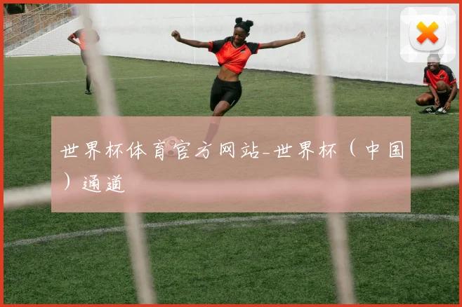世界杯体育官方网站_世界杯（中国）通道