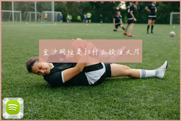 金沙网址是js什么投注大厅