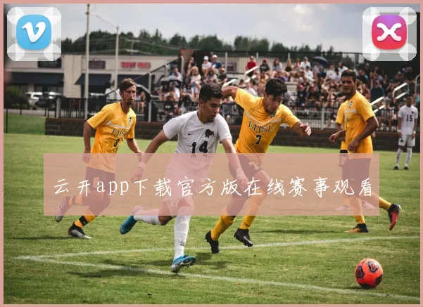 云开app下载官方版在线赛事观看