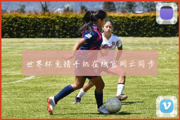 世界杯竞猜手机在线官网云同步