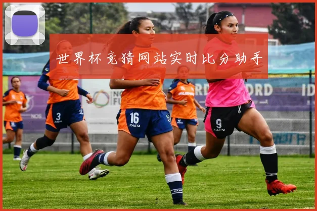 世界杯竞猜网站实时比分助手