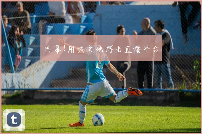 内幕!用武之地搏击直播平台