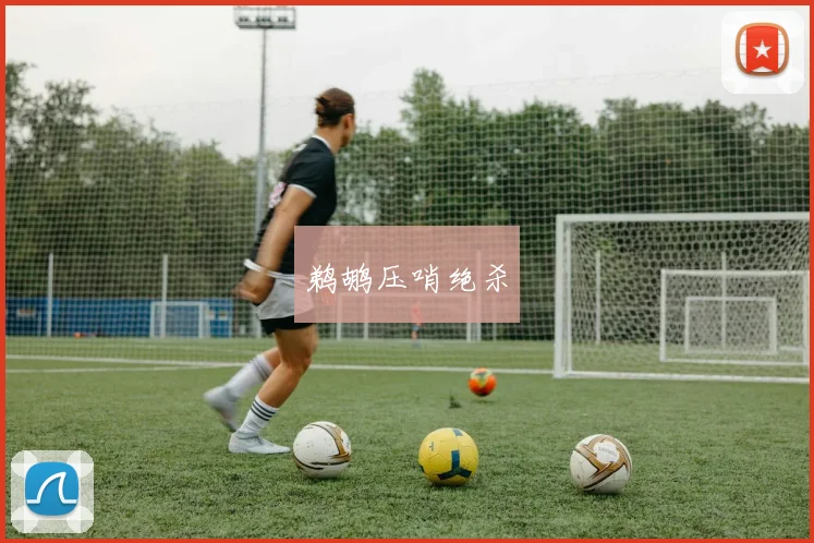 鹈鹕压哨绝杀