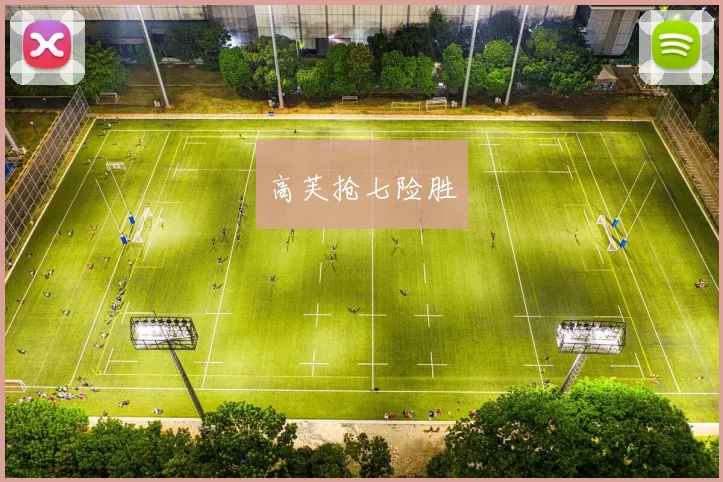 高芙抢七险胜