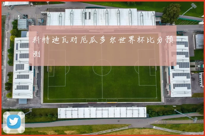 科特迪瓦对厄瓜多尔世界杯比分预测