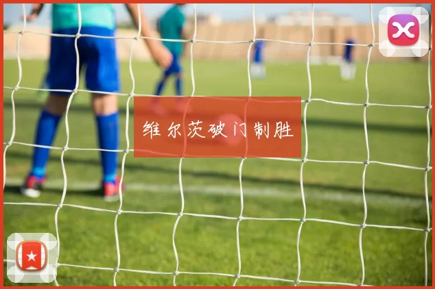维尔茨破门制胜