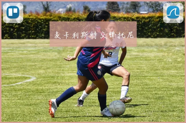 麦卡利斯特交锋托尼