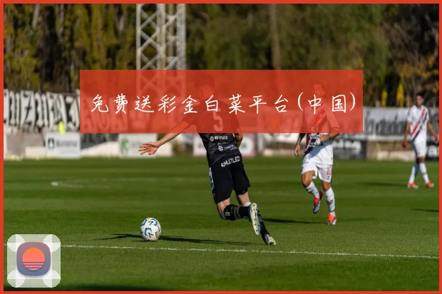 免费送彩金白菜平台(中国)