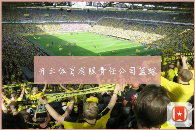 开云体育有限责任公司篮球