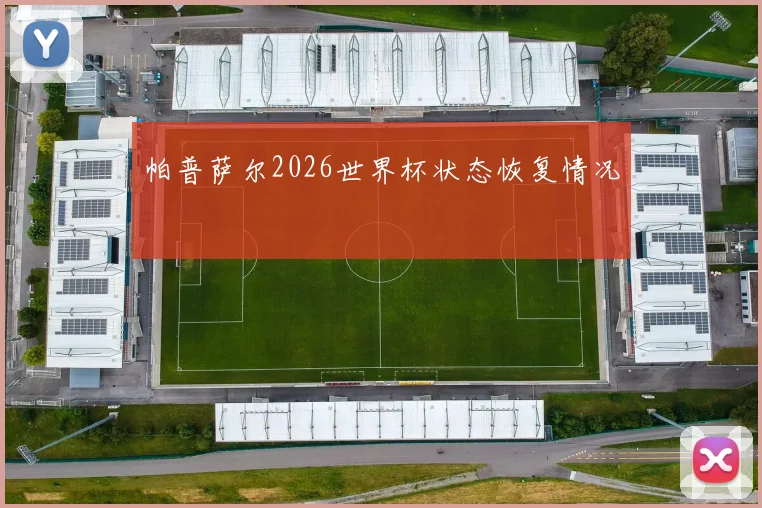 帕普萨尔2026世界杯状态恢复情况