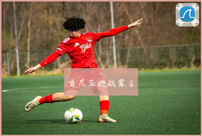 肯尼亚迎战蒙古