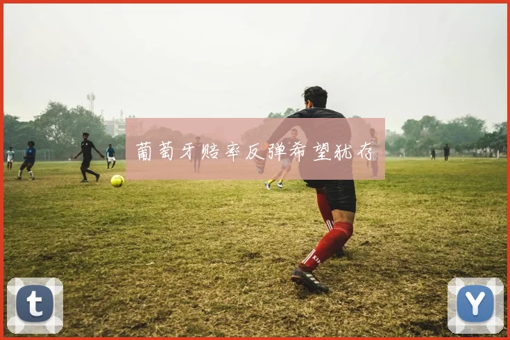 葡萄牙赔率反弹希望犹存