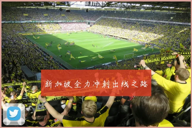新加坡全力冲刺出线之路