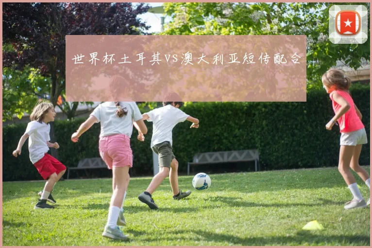世界杯土耳其vs澳大利亚短传配合