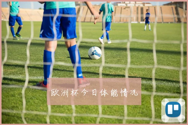 欧洲杯今日体能情况